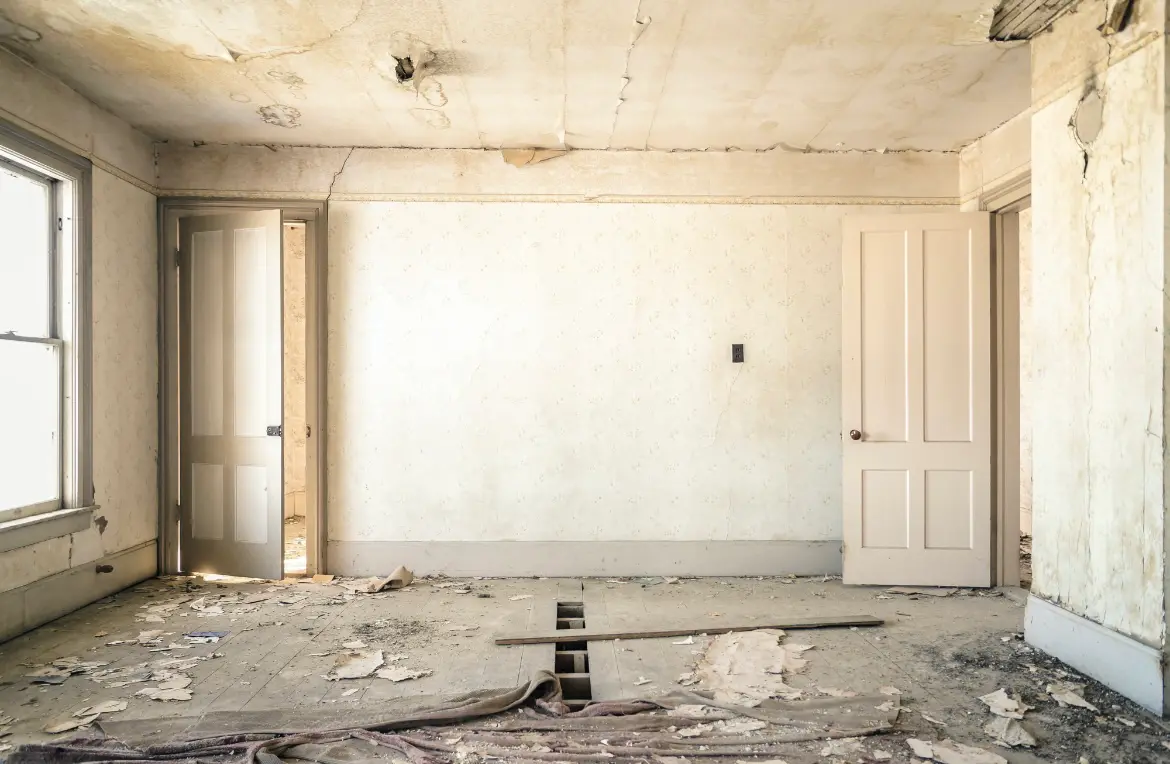 Waste disposal crew managing a cleanout project in South Boston